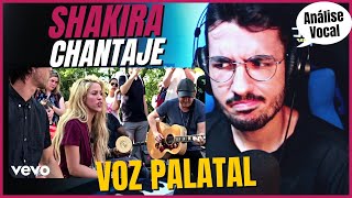 ANALISANDO A VOZ DA SHAKIRA COMO CHEGAR NESSE TIMBRE [upl. by Hawger]