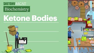 Ketone Bodies Biochemistry  Sketchy MCAT [upl. by Broeker]