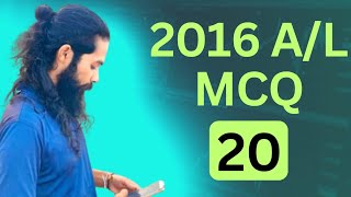 2016 AL ICT mcq 20  ICT A [upl. by Anuska]