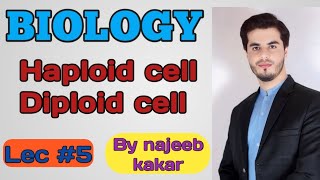 Haploid and diploid cell  Difference between Haploid and diploid  By najeeb kakar [upl. by Ayekan]