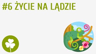 Życie na lądzie 6  Przyroda wokół mnie [upl. by Nirual]