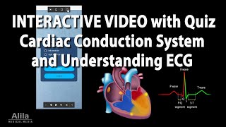 NEW INTERACTIVE Animation Cardiac Conduction System and Understanding ECG EKG [upl. by Muffin]