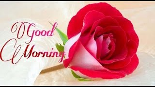 Latest Good Morning wishes SMS greetings Whatsapp Video message [upl. by Klina552]