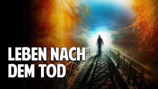 Leben nach dem Tod Der Weg zu einem neuen Bewusstsein  Penny McLean [upl. by Burrows]