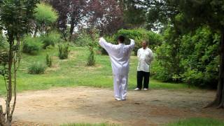 An Wushu  wǔ lóng chuān huà zhǎng [upl. by Acissaj]