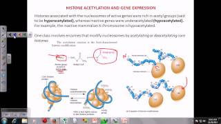 Chromatin remodeling [upl. by Nowujalo57]