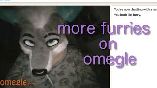 MORE FURRIES ON OMEGLE [upl. by Shurlock]