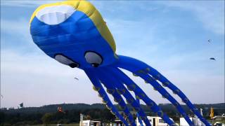 Drachenfest Teil 2  Pettersson und Findus [upl. by Weathers]