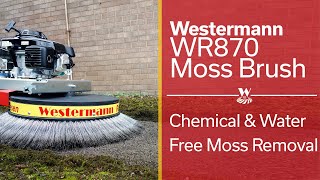 Chemical and water free moss removal from hard surfaces [upl. by Dunseath]