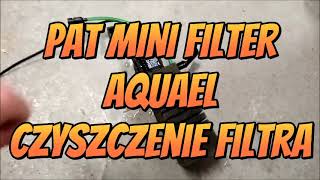 PAT MINI FILTER Aquael  czyszczenie filtra filter cleaning [upl. by Atiruam]