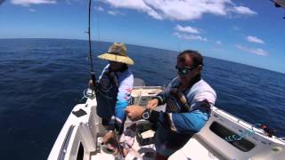 Mackay Prince Reef Fishing [upl. by Adne]