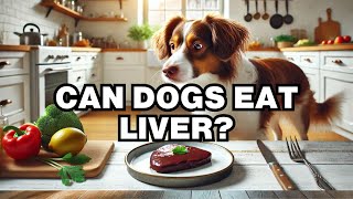 Can Dogs Eat Liver Explained [upl. by Laufer]