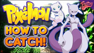 PATCHED How to catch Mew and Mewtwo in pixelmon  Pokecentral Pixelmon Server [upl. by Melitta]