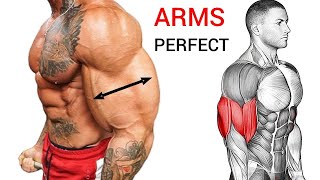 Best Bicep and Tricep Workout for WIDER ARMS Perfect [upl. by Los]