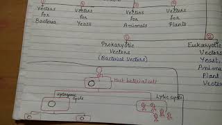 Vectors part 2 M13 phage and lambda phage [upl. by Notsgnal]