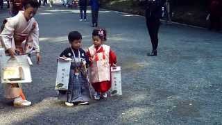 Japanese kids dressed in traditional kimonos  very cute [upl. by Aileme]