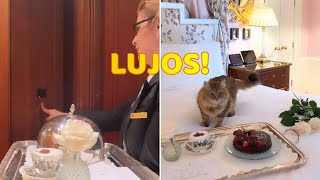 Gatito Lleva una Vida de Lujos en Hotel de 5 Estrellas [upl. by Rhines]