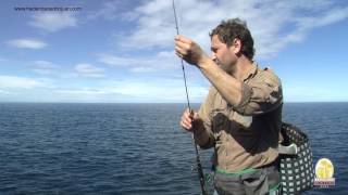 Vienes de pesca a Llanes te damos algunos consejos httpwwwhaciendadedonjuancom [upl. by Sherrard]