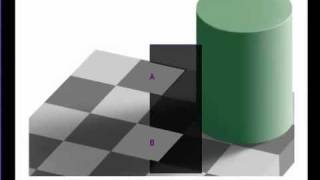 WARNING DONT Stare At Square A Amazing Checker Shadow Optical Illusion by Edward H Adelson [upl. by Neidhardt]