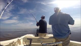 Mayport Jetties Drum Fishing [upl. by Elmajian]