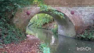 Basingstoke Canal reels sarvajitnm trending song youtube trending feed feedshorts walking [upl. by Dich]