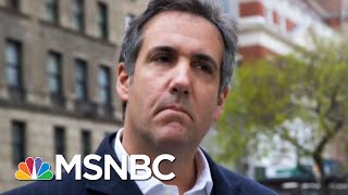 Companies Paid Millions To Michael Cohen  Morning Joe  MSNBC [upl. by Lorianne216]