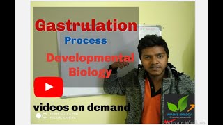 Gastrulation Process Developmental Biology part3 [upl. by Eyahc]