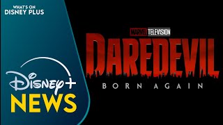 Marvel Announces quotDaredevil Born Againquot Disney Release Date At NYCC  Disney Plus News [upl. by Seek41]