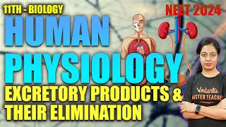 Human Physiology  Excretory Products amp their Elimination  Class 11 NEET Biology  Nivetha Maam [upl. by Iolenta479]