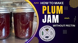 Plum Jam  Useful Knowledge [upl. by Kenleigh116]