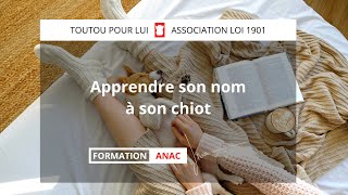 Comment apprendre son prénom à son chien [upl. by Aimee]