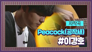 19세 기타 천재 이강호 자작곡 ′Peacock공작새′♪ ＃프로듀서오디션 슈퍼밴드 SuperBand 1회 [upl. by Faydra]