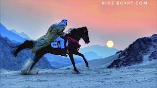 Horse Riding Holidays Egypt  Luxor amp Makadi Bay [upl. by Parnell]