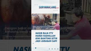 Dulu Kerap Warawiri di Televisi Nasib Raja FTV Kini Sepi Job Banting Setir Jadi Juragan Sapi [upl. by Anohr]