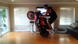 Motorcycle stunter does wheelies in his house [upl. by Adiaj]