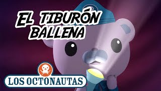 Los Octonautas Oficial en Español  El tiburón ballena  Episodio 10 [upl. by Cesaro632]