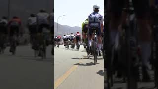 Bad crash for Mark Cavendish in Oman shorts [upl. by Suh]