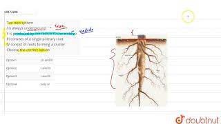 Tap root system I is always underground II is produced by the radicle fo the embryo [upl. by Elder52]