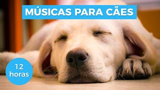 MÚSICAS PARA ACALMAR SEU CACHORRO COMPROVADO [upl. by Annoled]