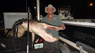 Epic Alligator hunt on Lake Kissimmee [upl. by Llered]