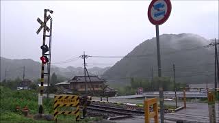 【踏切】 故障！？ 開かない踏切 その2 JR水郡線 Railroad crossing in Japan [upl. by Navaj]