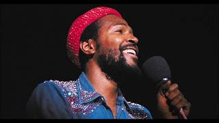 Marvin Gaye  If This World Were Mine Remix [upl. by Yerfej]