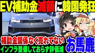 日本のEV補助金減額に発狂する韓国現代自動車【ゆっくり解説】 [upl. by Eloc]