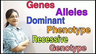 DG Pathshala Genes Alleles Dominant Recessive Genotype Phenotype Class10 ICSECBSE Biology [upl. by Ahsinik]