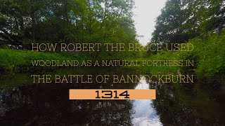 How Robert the Bruce used Woodland as a Natural Fortress in the Battle of Bannockburn [upl. by Epuladaug]