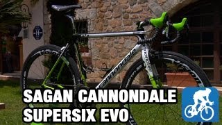 Peter Sagans Cannondale SuperSix Evo Tour de France 2013 [upl. by Terle]