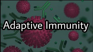 Immunology  Adaptive Immunity  Characteristics of Adaptive Immunity [upl. by Enieledam]