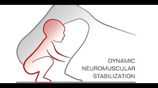 Ep 22 Dynamic Neuromuscular Stabilization DNS [upl. by Peddada]