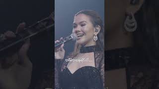 သစ္စာမပျက်ကြေး တိုးလို့ချစ်မယ်ကွာ 🥰 🥰 ninikhinzaw 360degreeconcerts [upl. by Haswell]