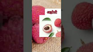 Best litchi variety in india [upl. by Deming]